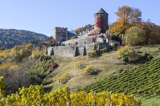 Burg Deutschlandsberg mit Weinfelder. Steiermark, Österreich.