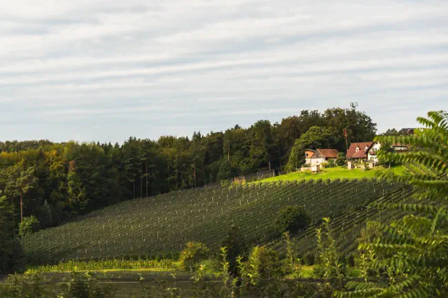 Puch bei Weiz Stadt auf der Apfelstrasse berühmt für Apfelplantagen in der Region Steiermark. Apfelanbau.